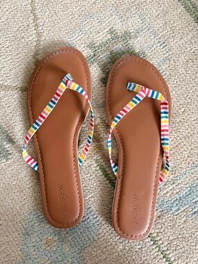 J. Crew Brown Leather Easy Summer Flip Flop Sandals with Rainbow Stripe Straps